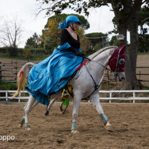 I MEMORIAL  MAURO PERNI 2019