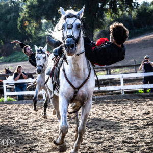 I MEMORIAL  MAURO PERNI 2019